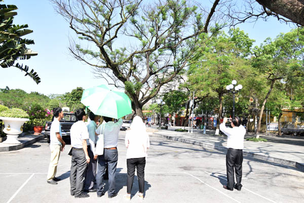 Chuyên[-]gia[-]VACNE[-]khảo[-]sát,[-]tư[-]vấn[-]chữa[-]bệnh[-]cho[-]cây[-]cổ[-]thụ[-]ở[-]Hải[-]Phòng